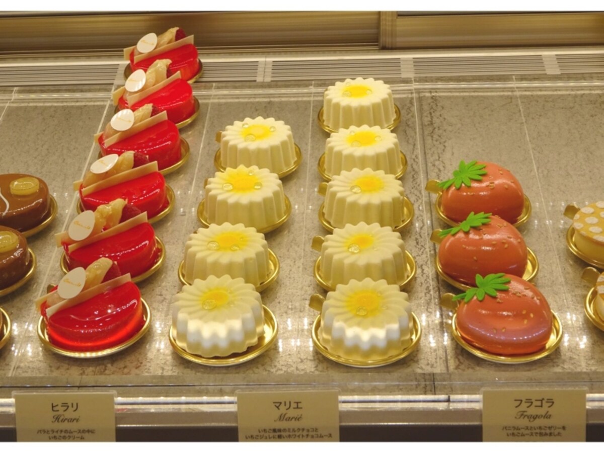 「オクシタニアル」のショーケース