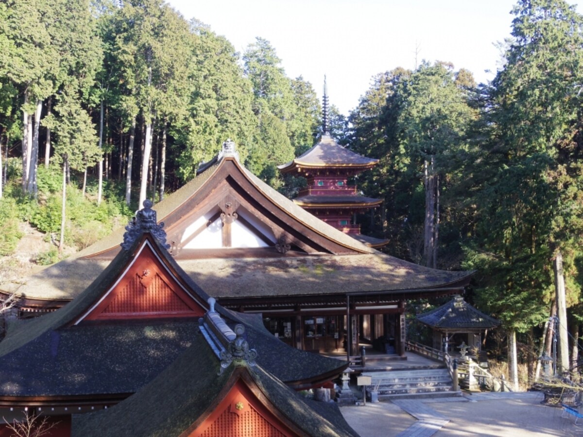 屋根