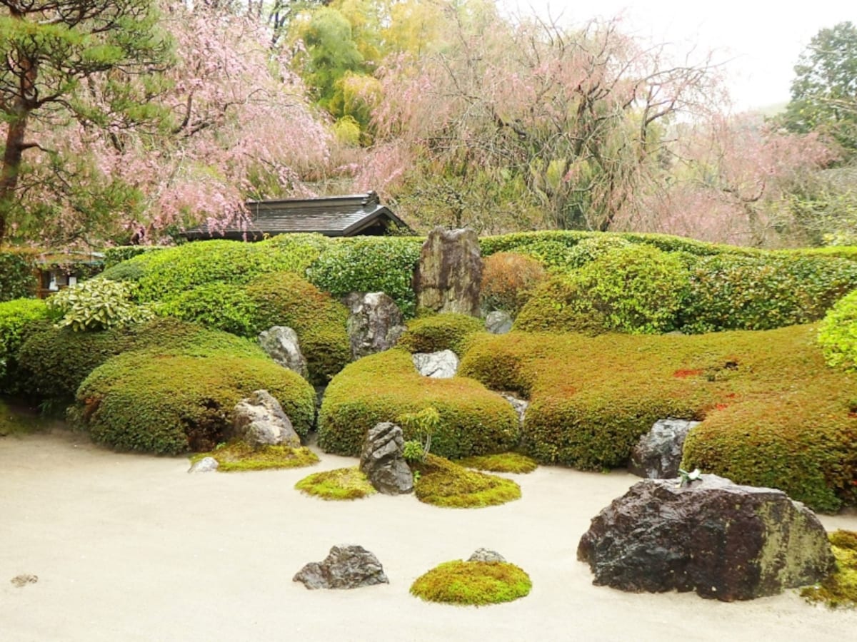 明月院の庭園　御朱印をいただく間に眺める情緒ある風景
