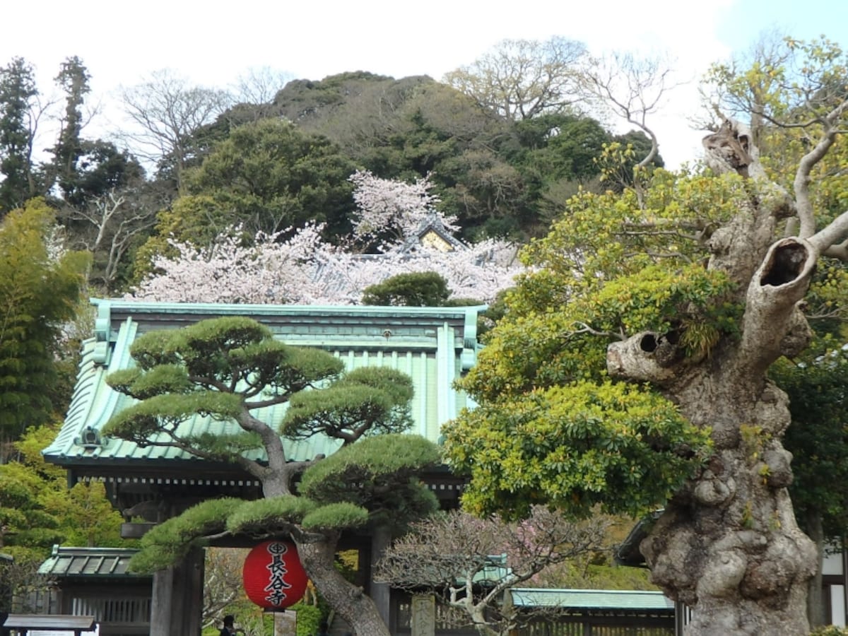長谷寺の山門
