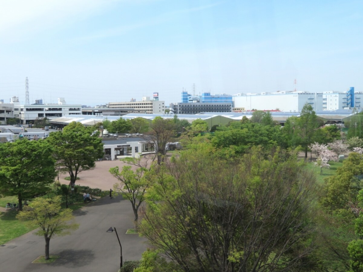 卸売市場など