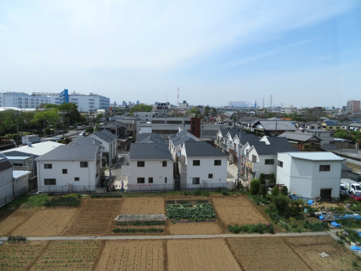 畑と一戸建て