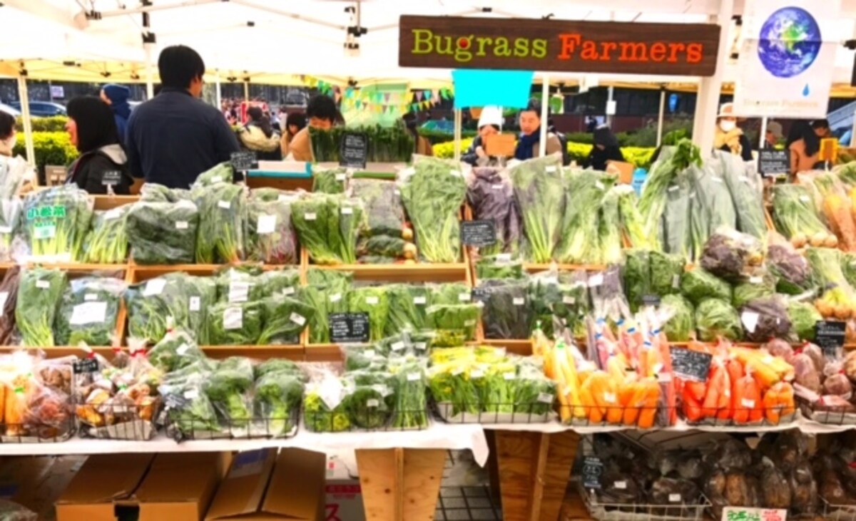 手に取れる高さから、立てて陳列され目の前に野菜が広がる光景は迫力があります