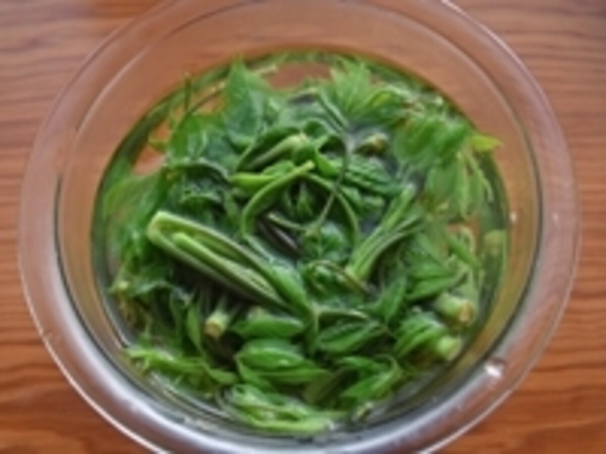 こしあぶら(濾油/コシアブラ)を水にさらす画像