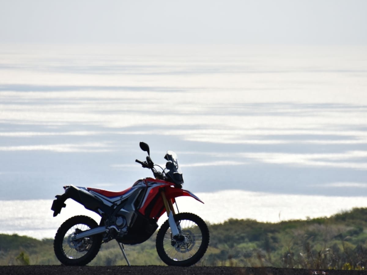 CRF250RALLYサイドビュー