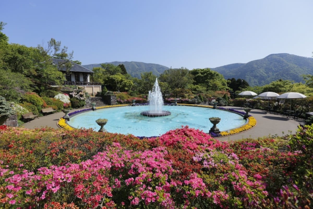 強羅公園
