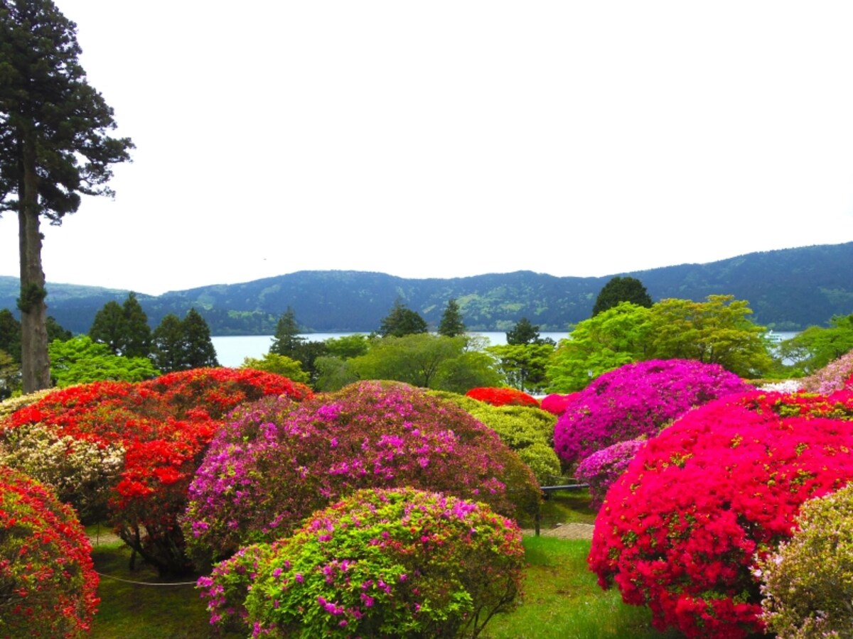 芦ノ湖