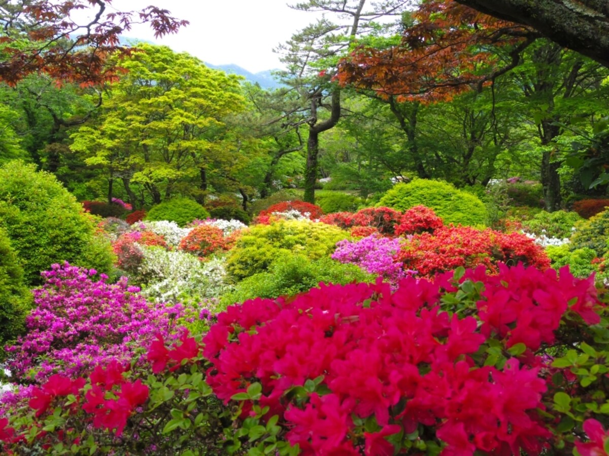 日本庭園