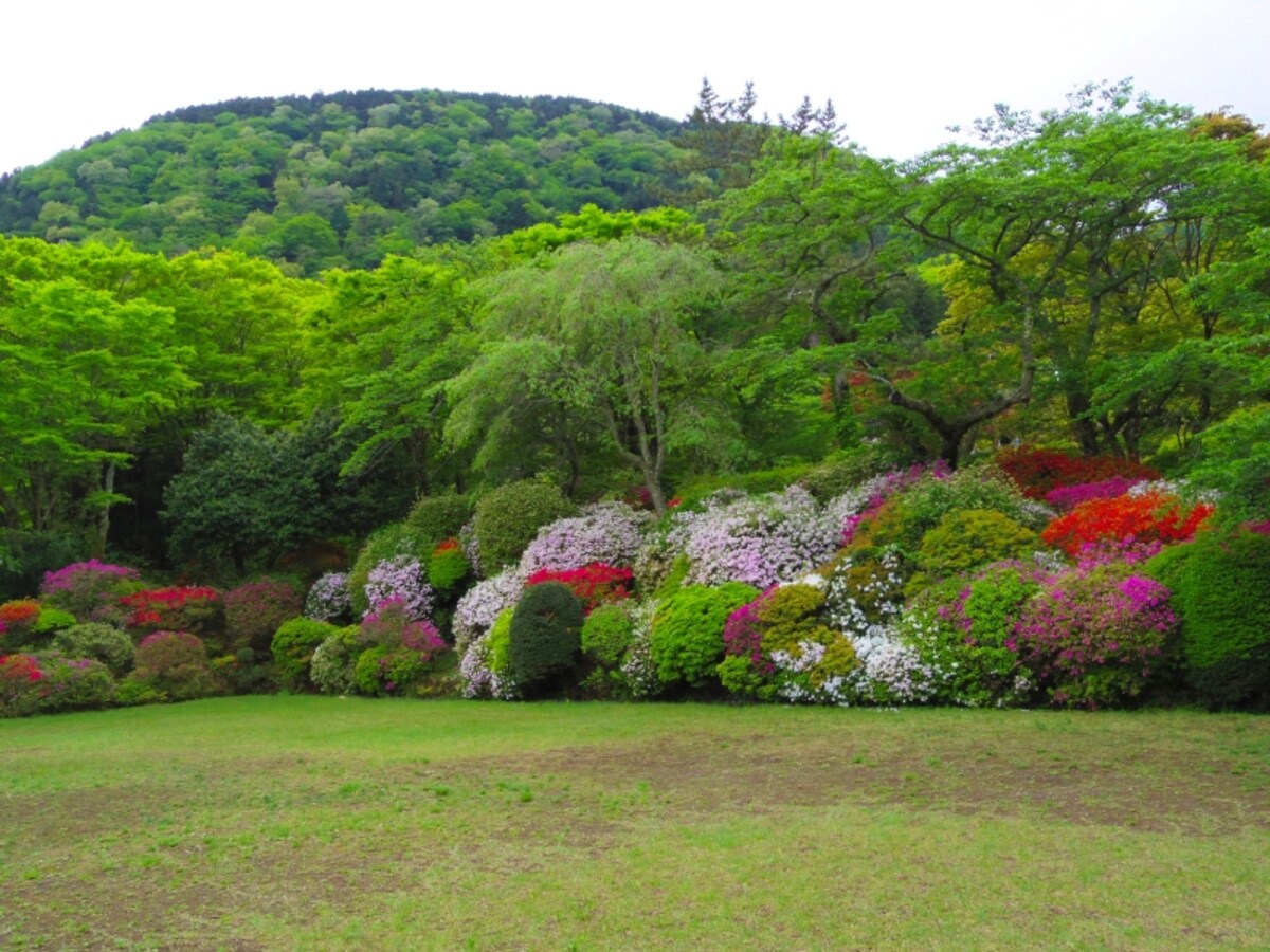 広場