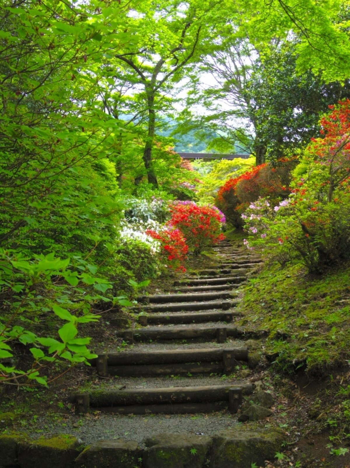 遊歩道