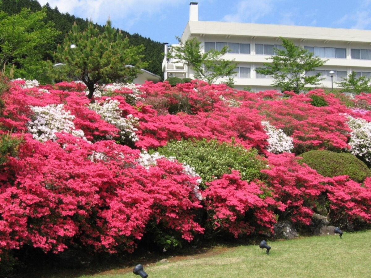 庭園