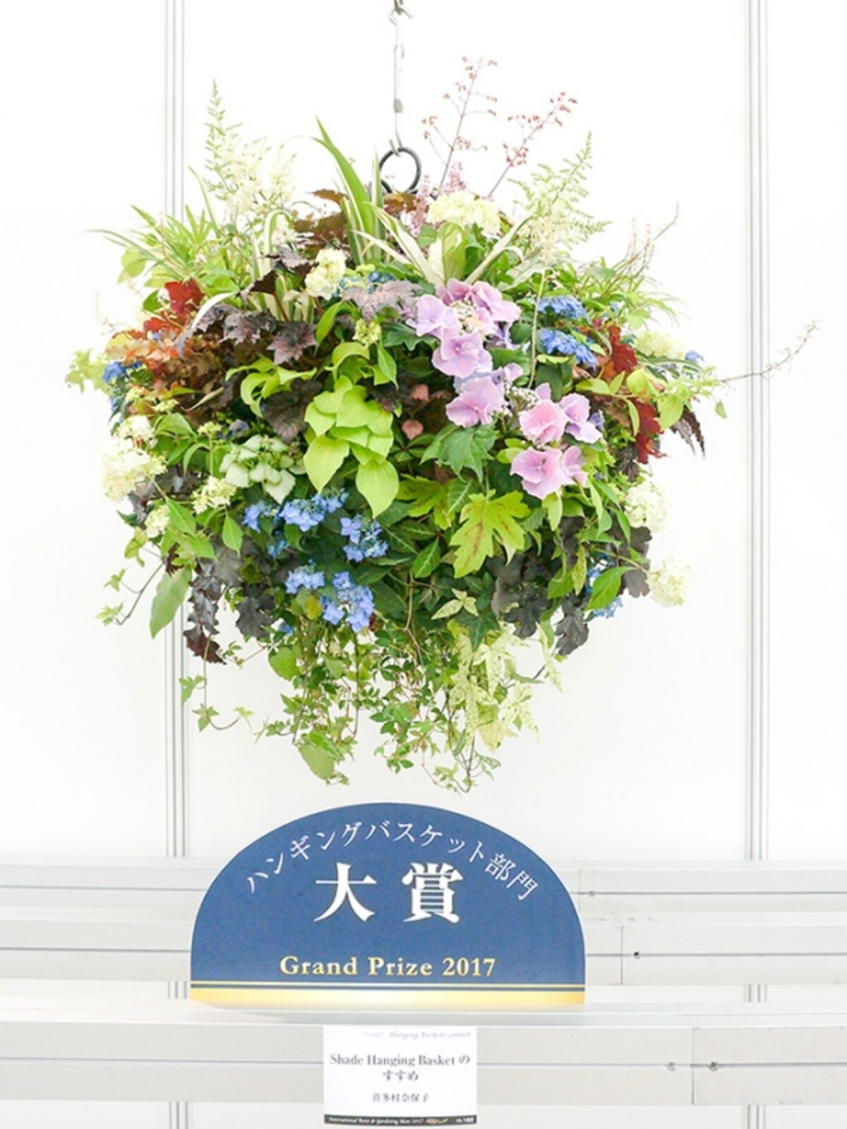 Shade Hanging Basket のすすめ