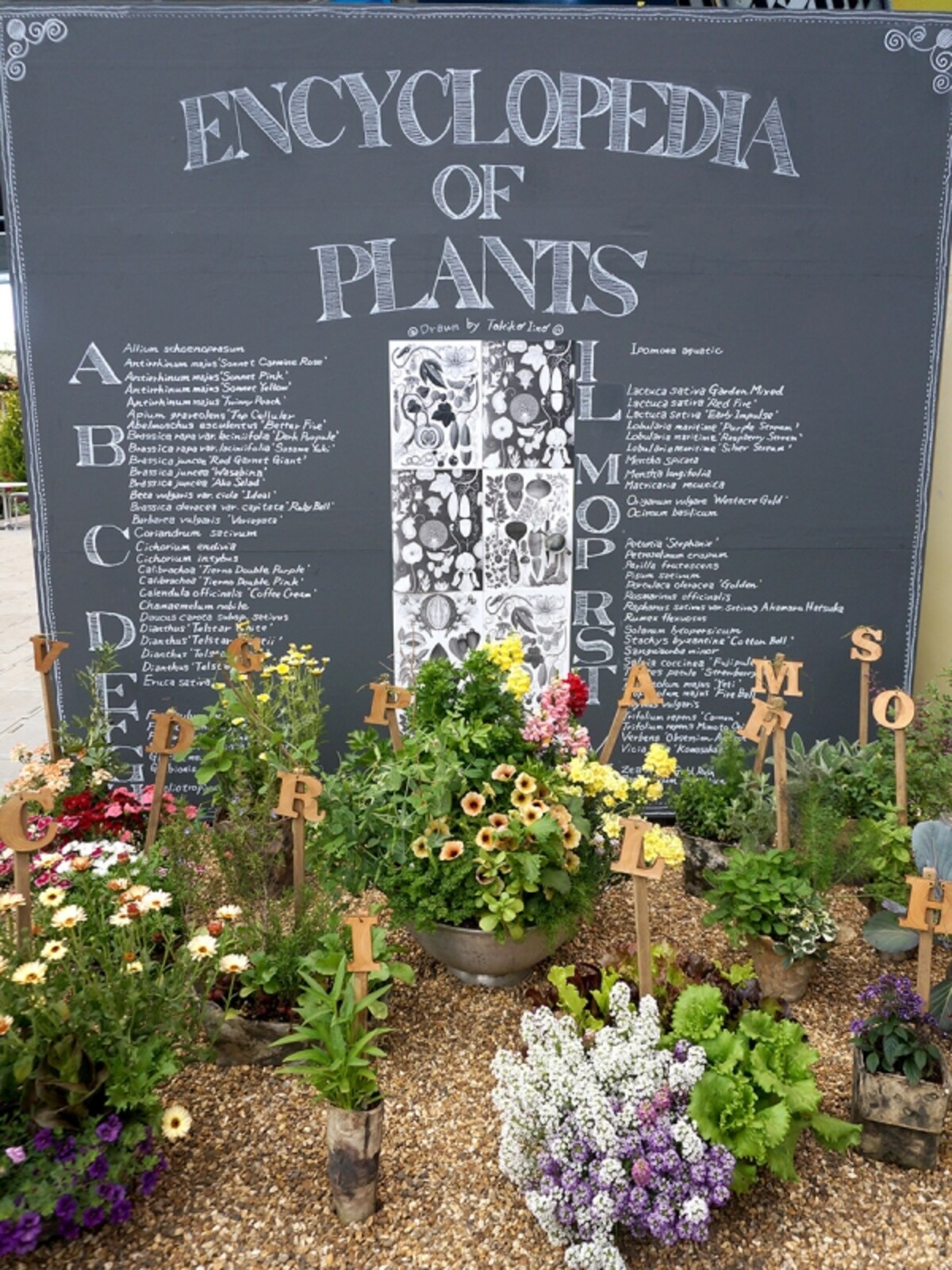 「Encyclopedia of Plants」