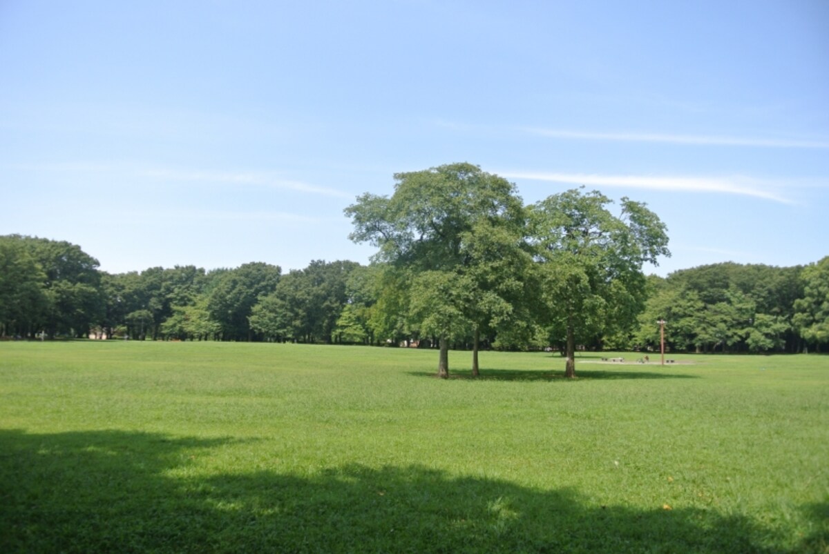 小金井公園