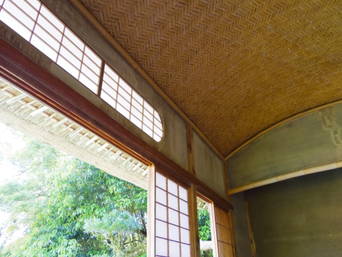 天井