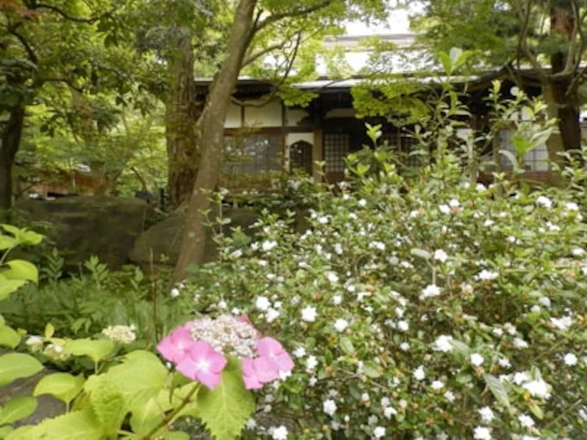 覚園寺