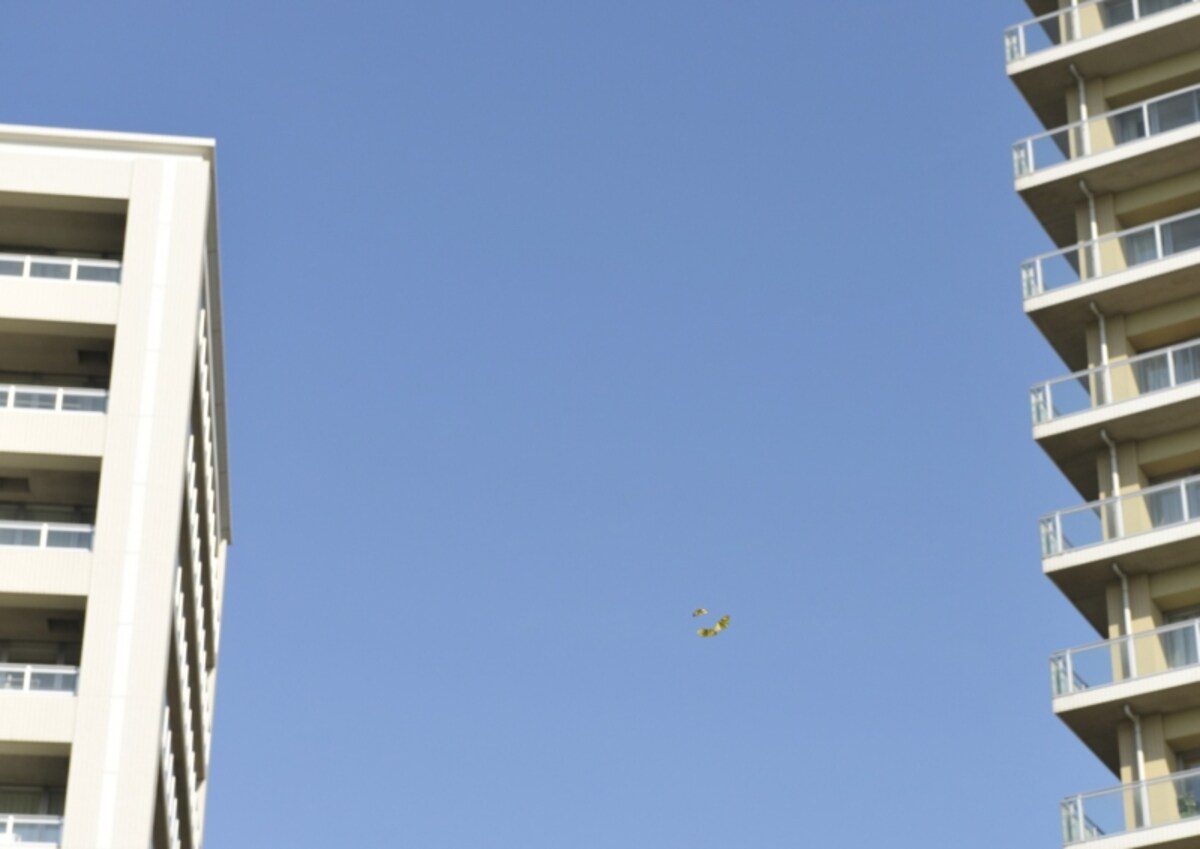 マンションの10階から下をのぞくと足がすくむ高さ。それでも平気な子どももいる