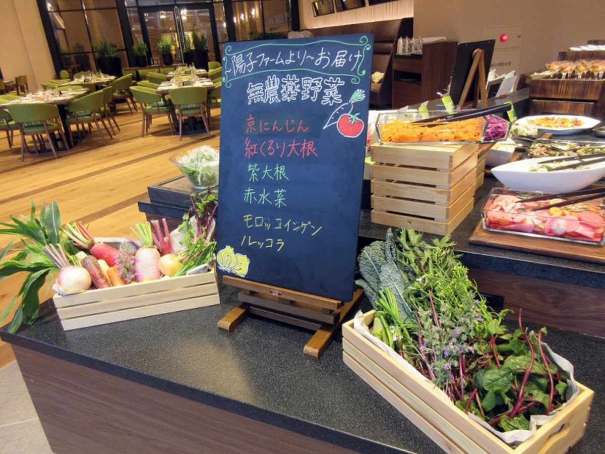 陽子ファームよりお届け 無農薬野菜