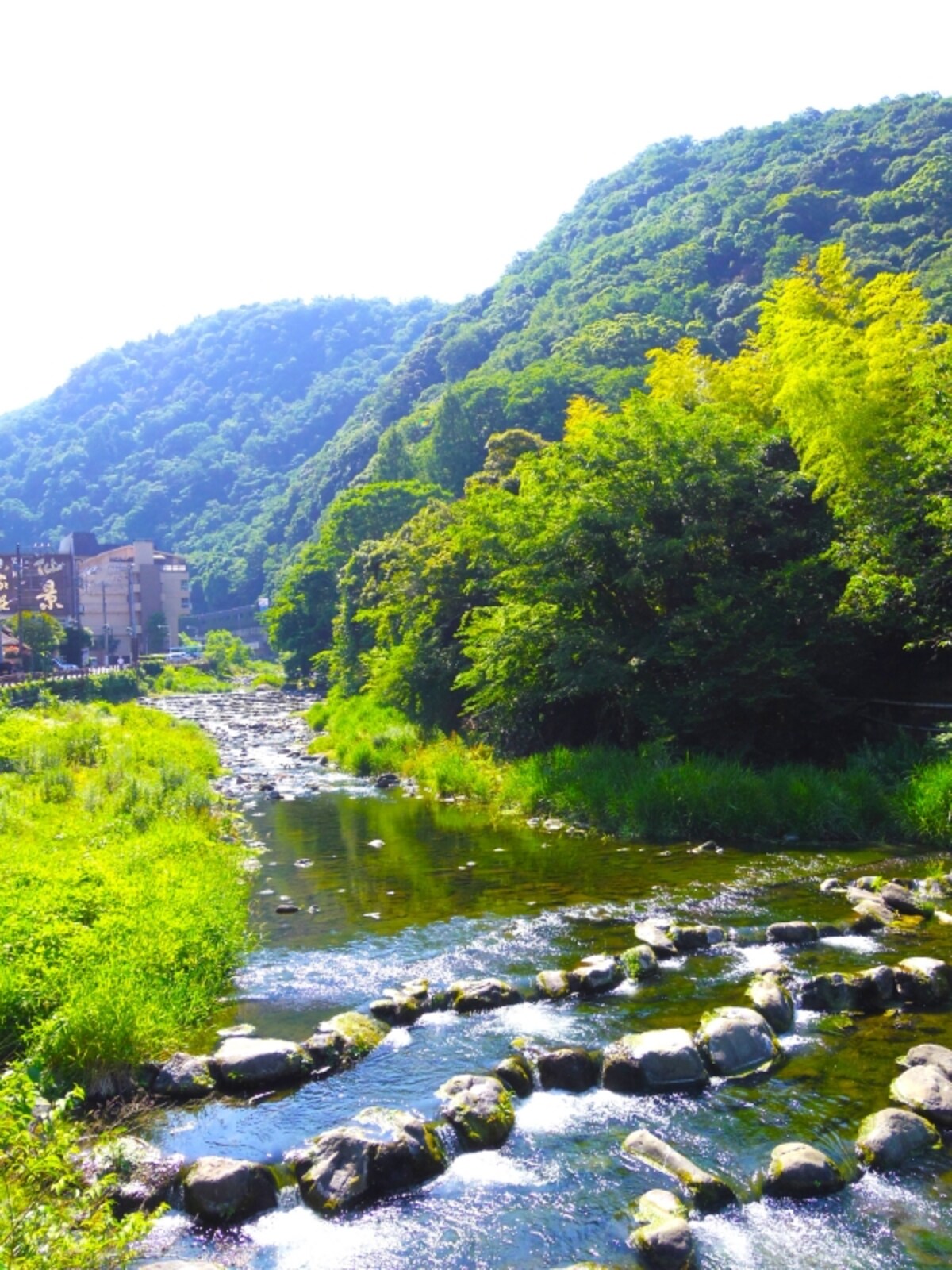 湯本川