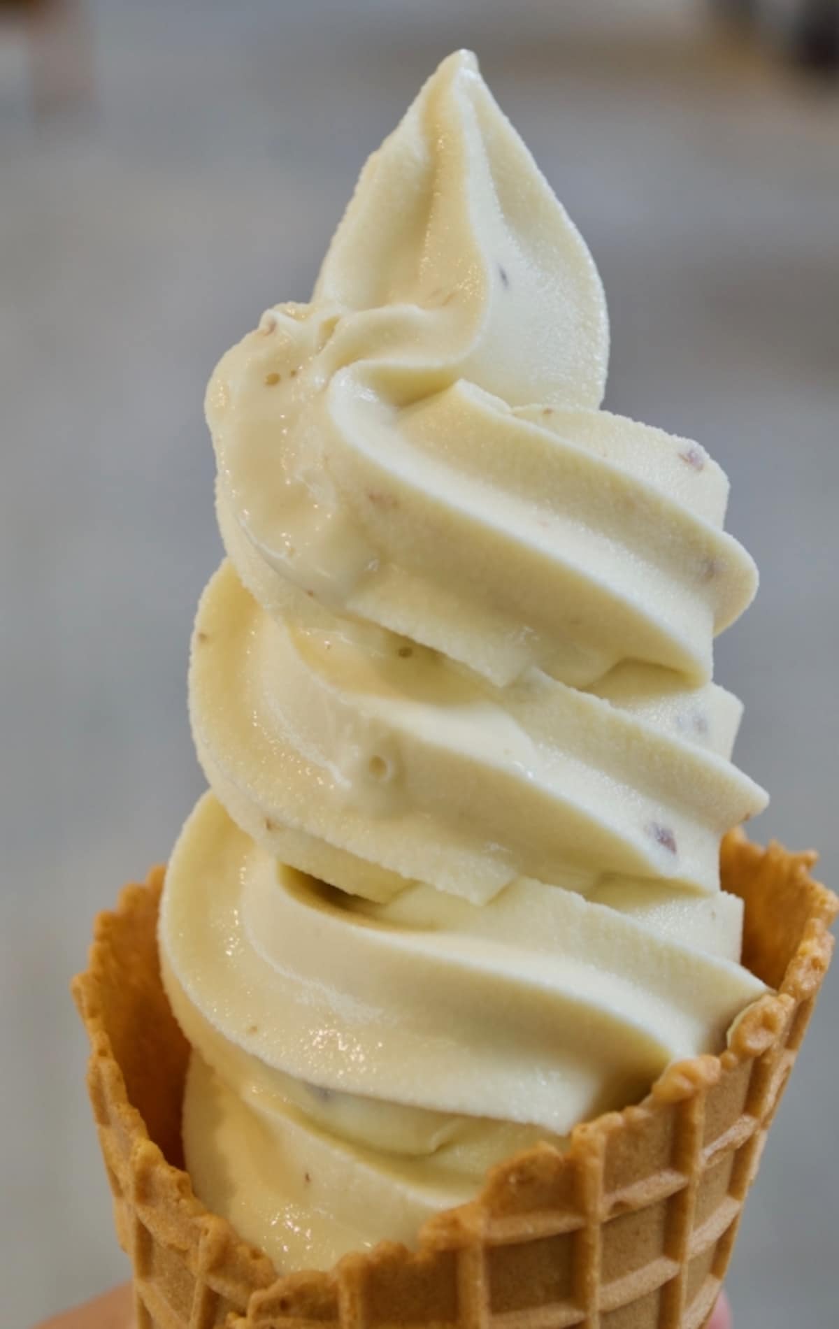 北菓楼札幌本館限定ラムレーズンのソフトクリーム