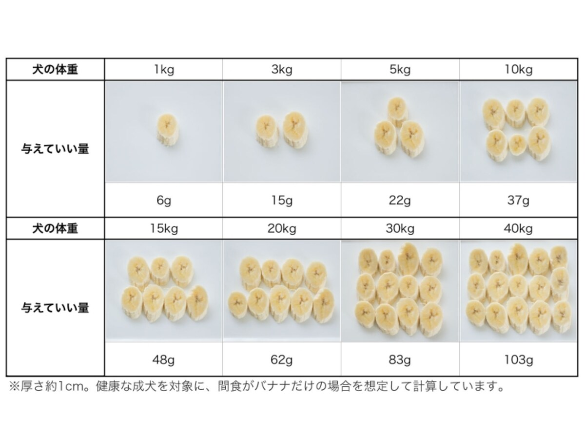 犬　バナナ　食べて良い　量　病気　薬　食べ合わせ