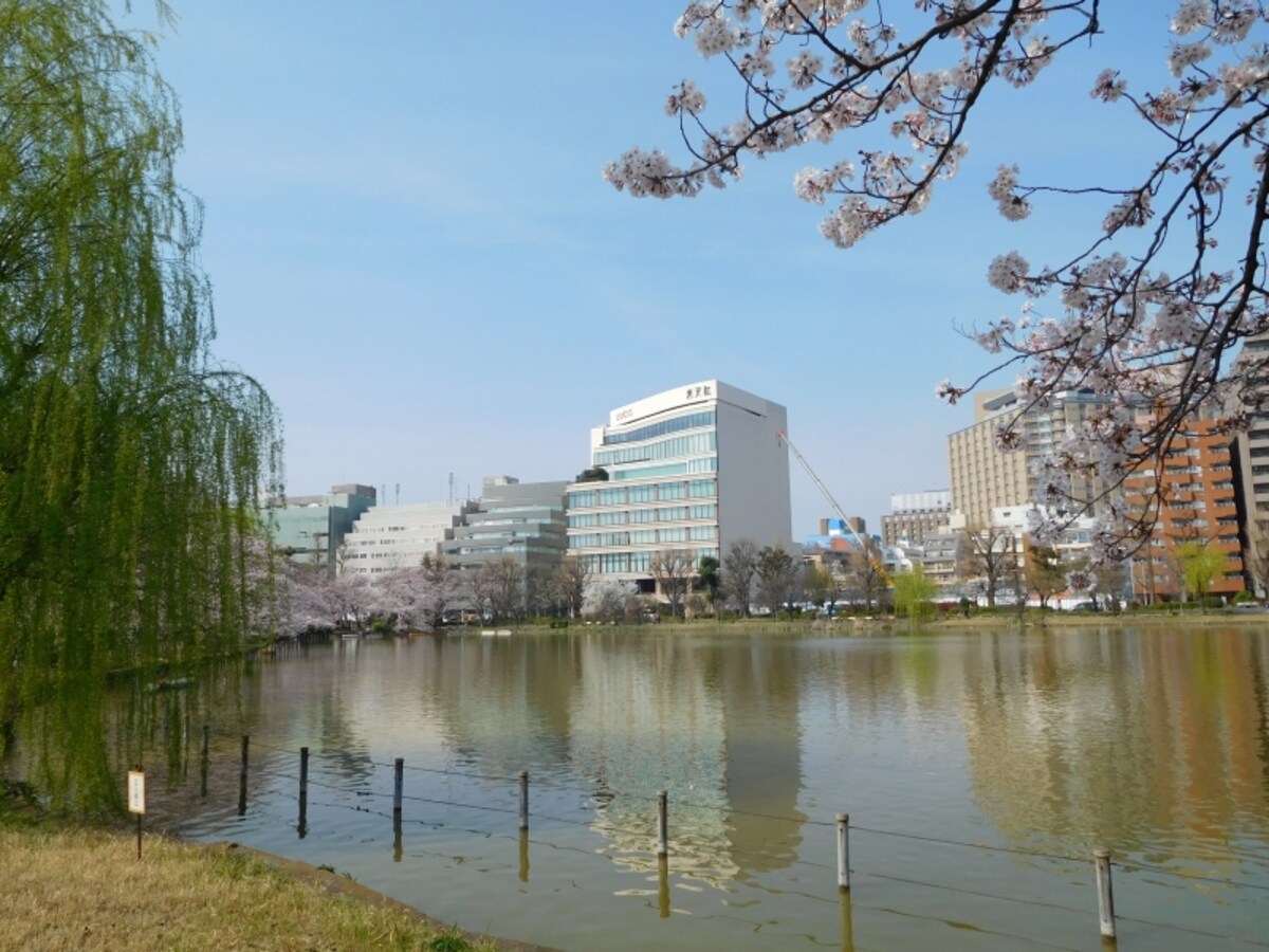 「Brillia Tower上野池之端」の現地