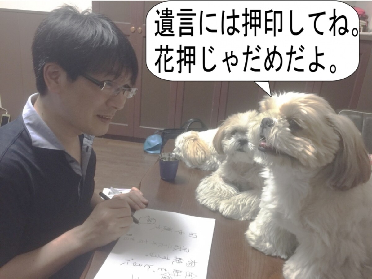 宅建試験に出題される重要判例