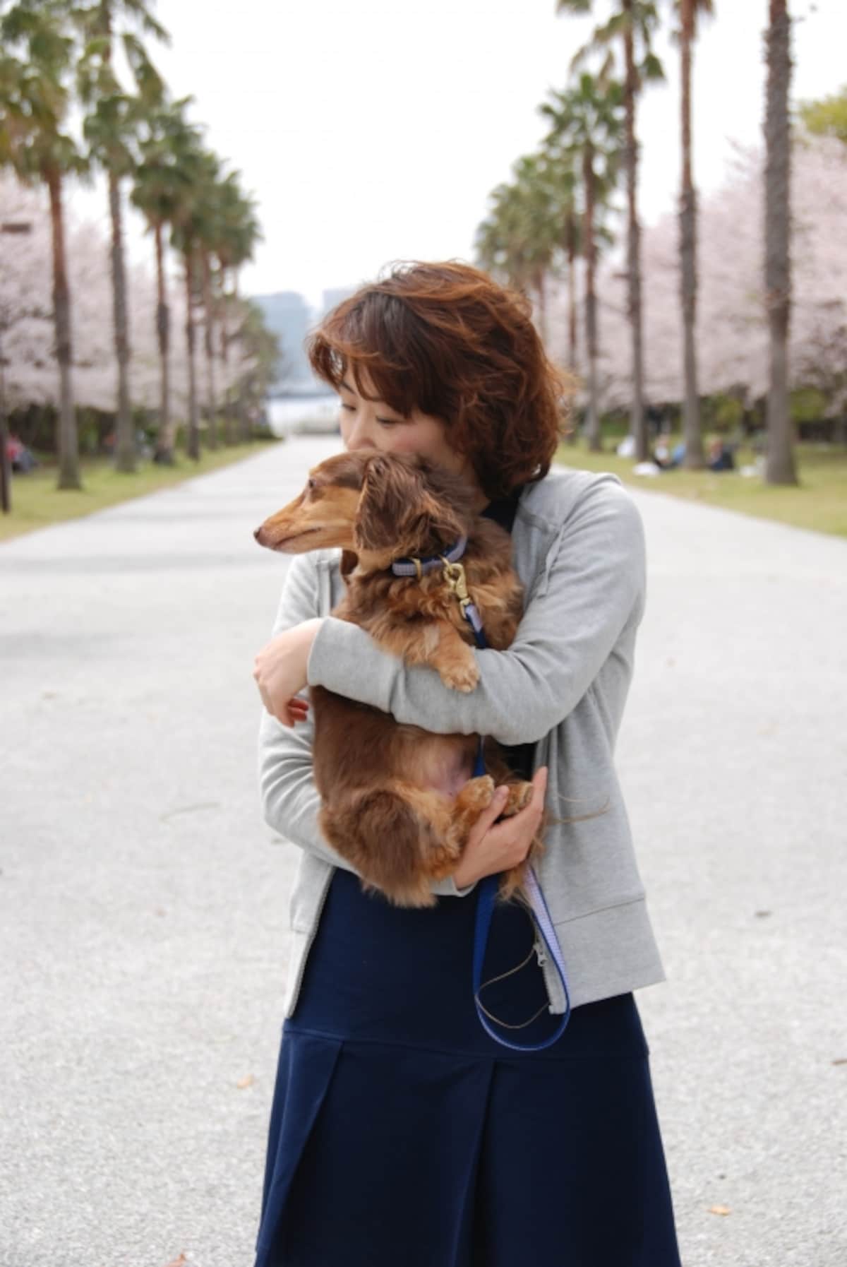 散歩とは愛犬との掛替えのない時間を紡ぐもの
