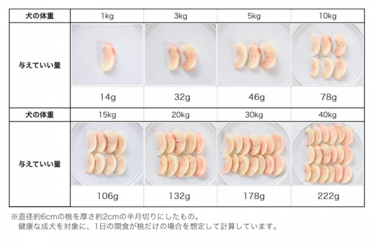犬　桃　食べて良い　量　病気　薬　食べ合わせ