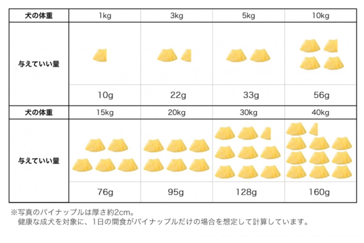 犬　パイナップル　食べて良い　量　病気　薬　食べ合わせ