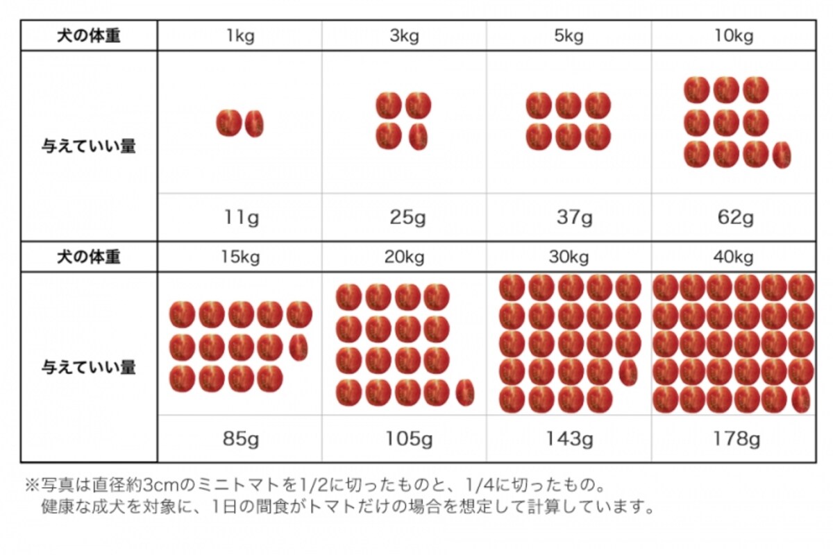 犬　トマト　食べて良い　量　病気　薬　食べ合わせ