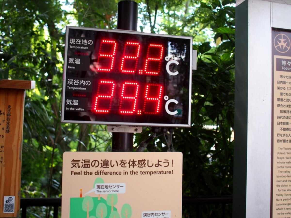 実際にはもう少し差があるように感じる