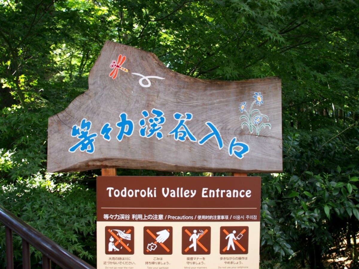 渓谷へ下りていく細い坂道がある