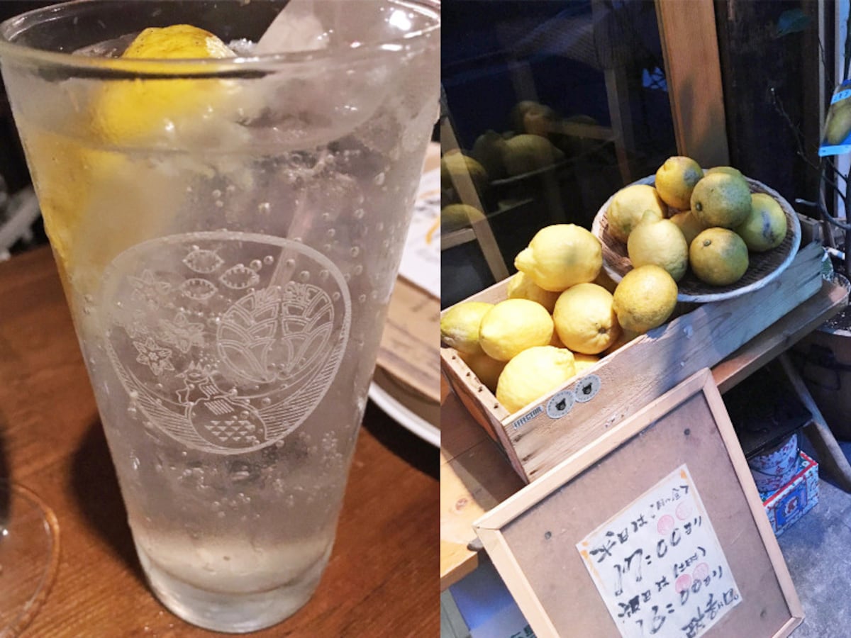 レモンサワーのブーム到来！ 恵比寿の人気3店をはしご酒