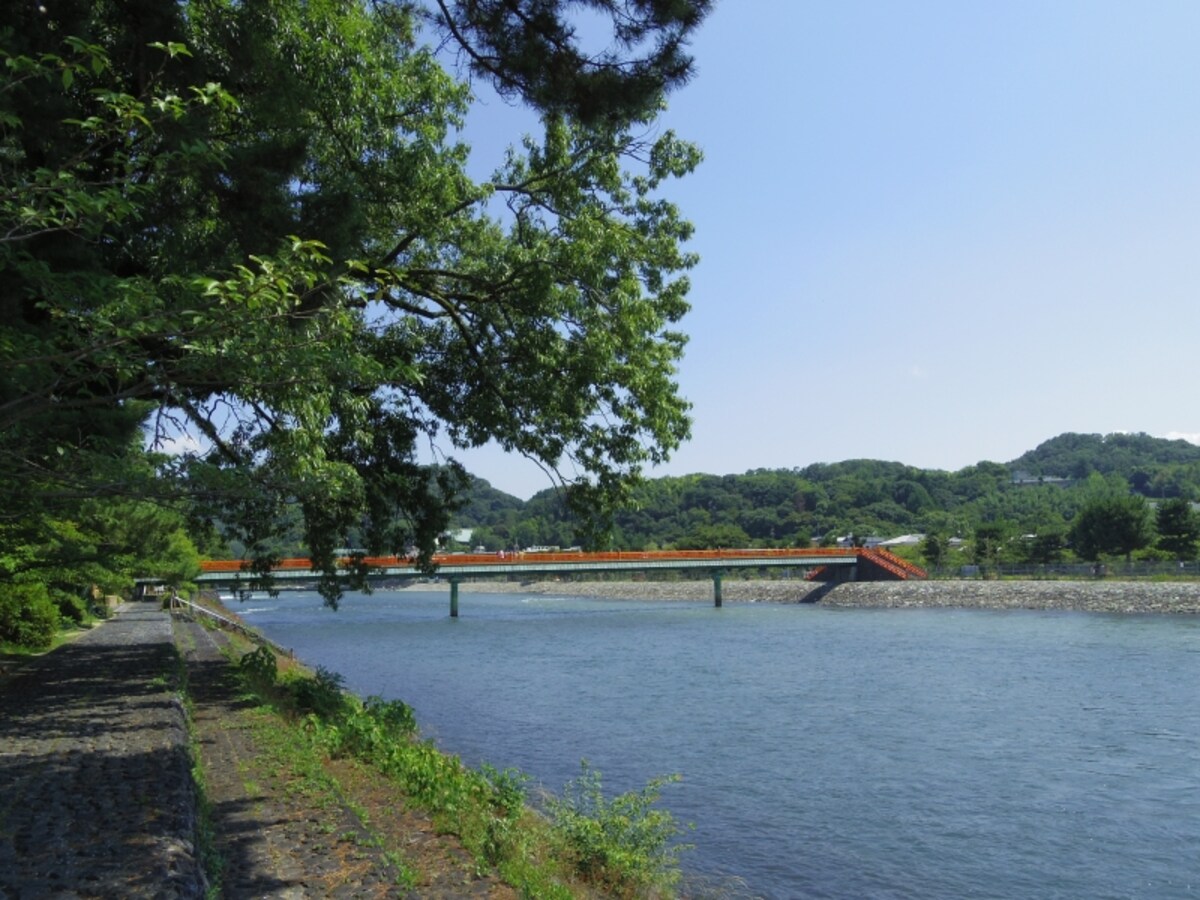 朝霧橋