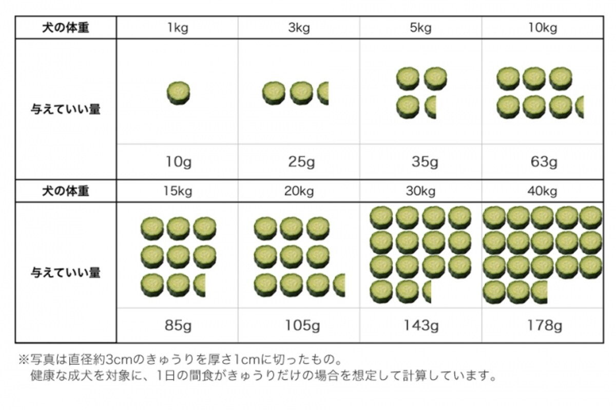 犬　きゅうり　食べて良い　量　病気　薬　食べ合わせ