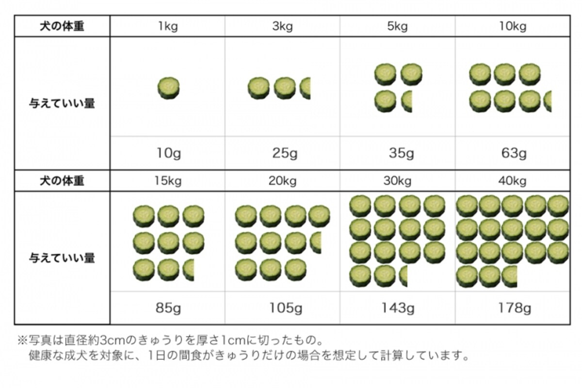 犬　きゅうり　食べて良い　量　病気　薬　食べ合わせ