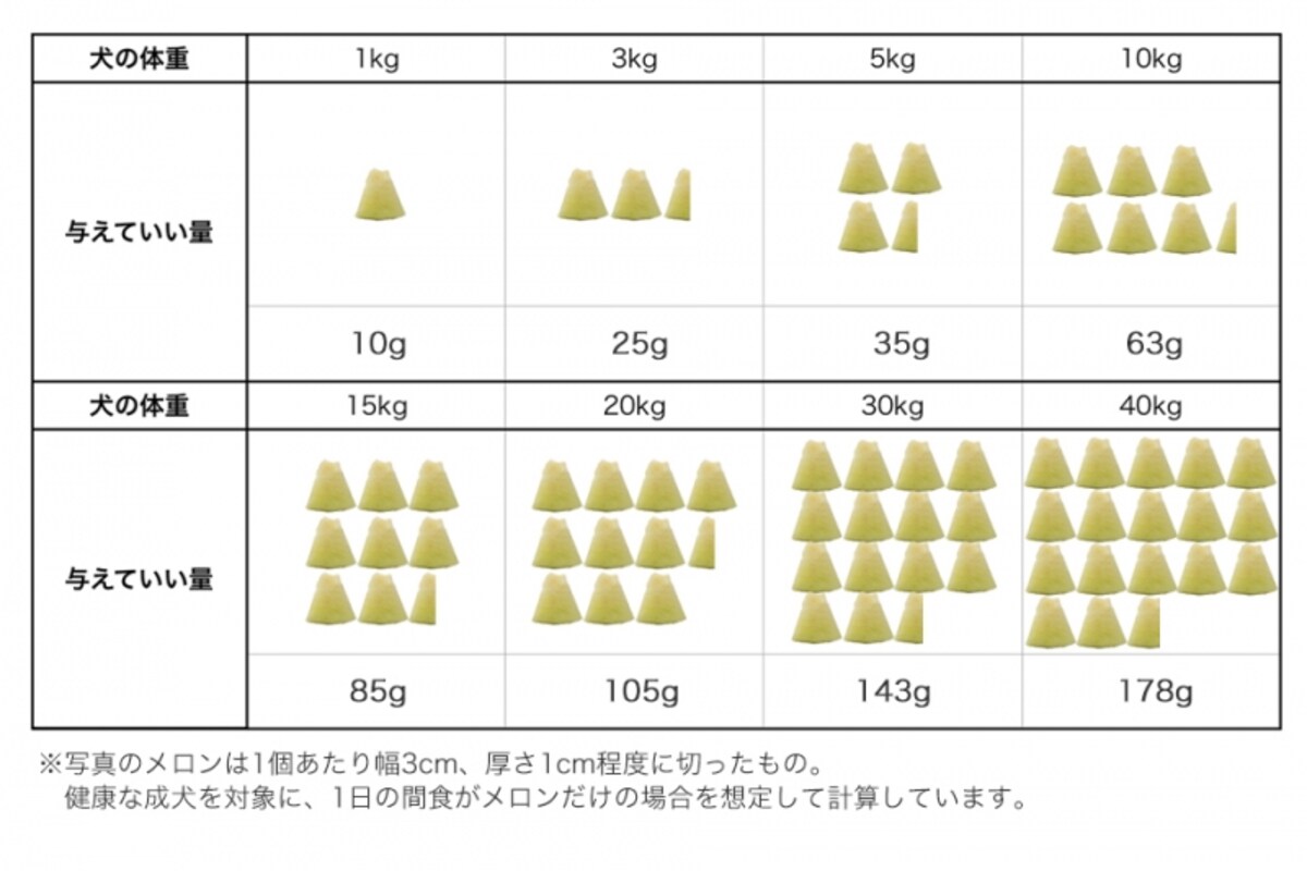 犬　メロン　食べて良い　量　病気　薬　食べ合わせ