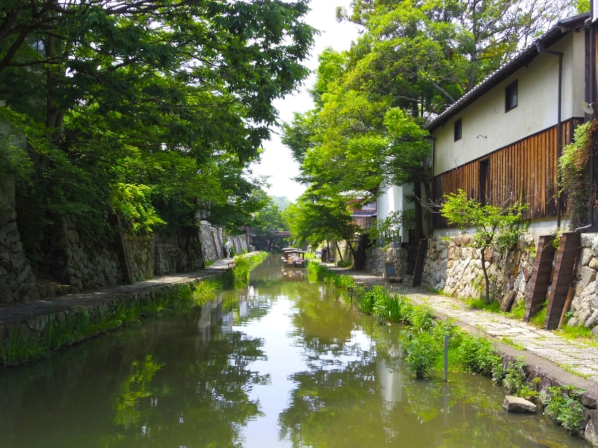 初夏の八幡堀