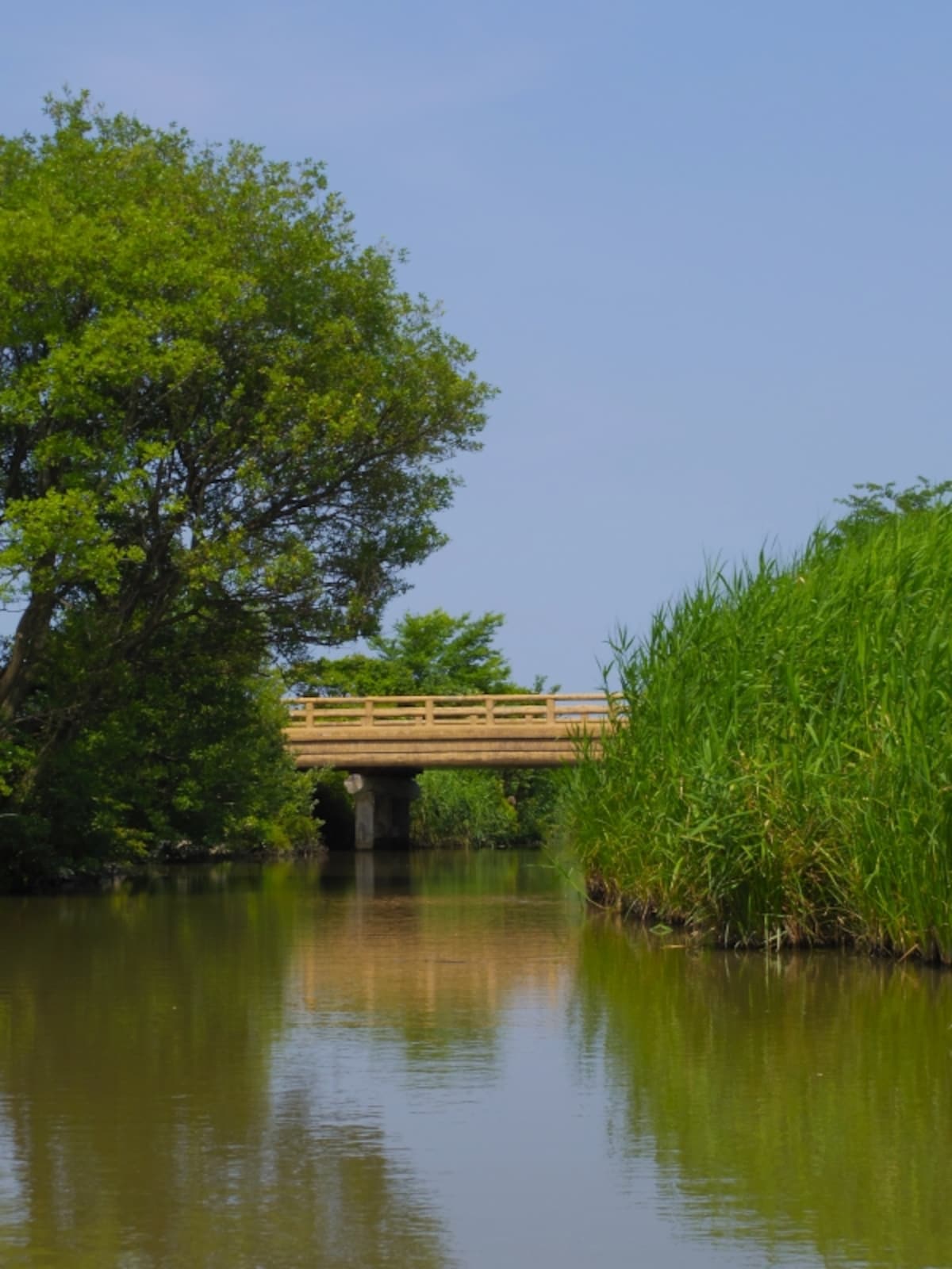 橋