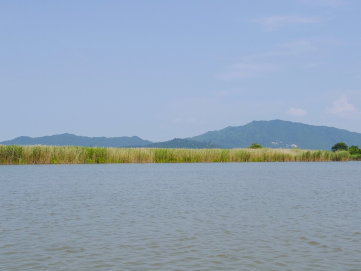 西の湖