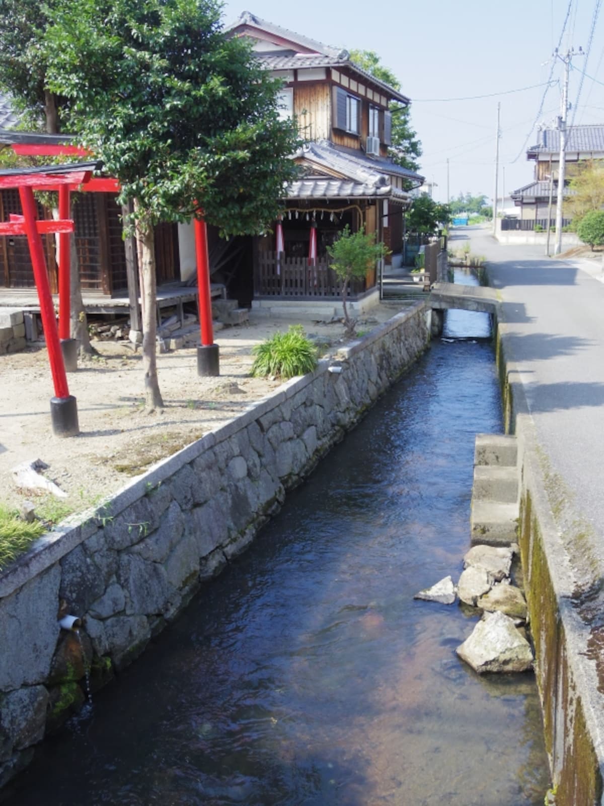 伊庭町の水路