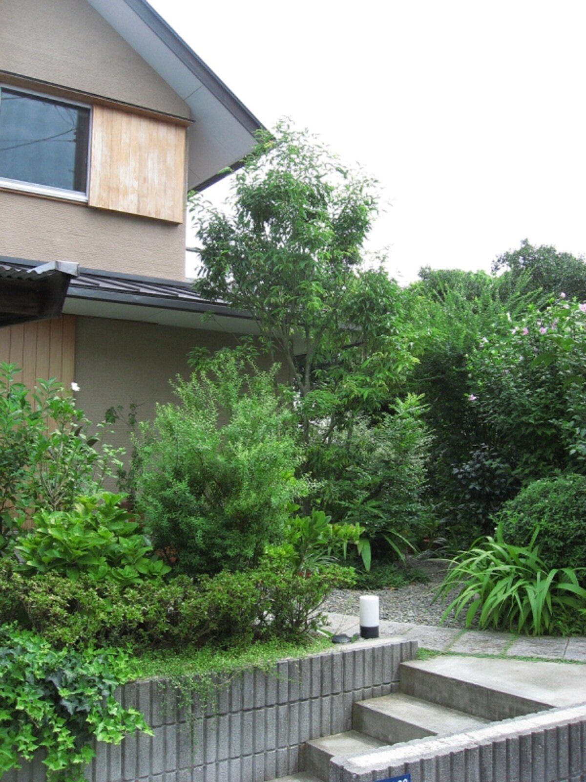 庭木で住まいのイメージも大きく変わる