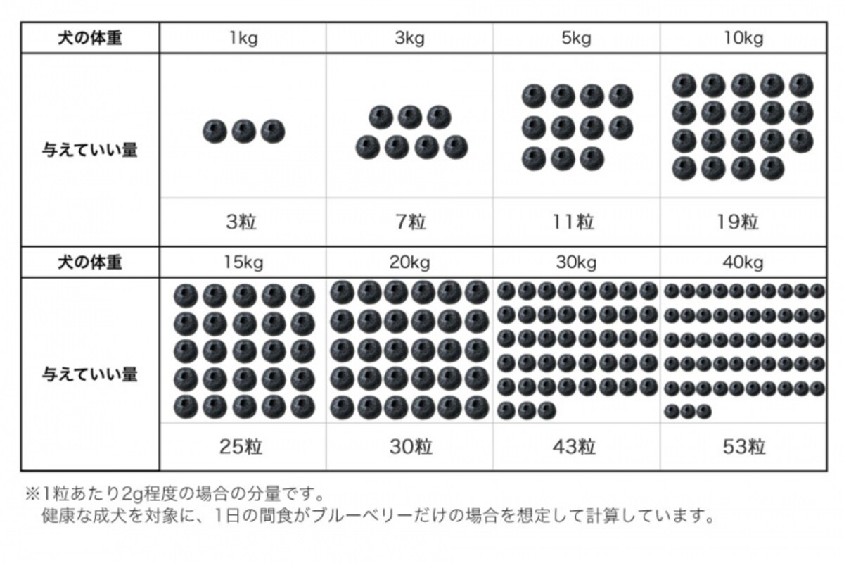 犬　ブルーベリー　食べて良い　量　病気　薬　食べ合わせ