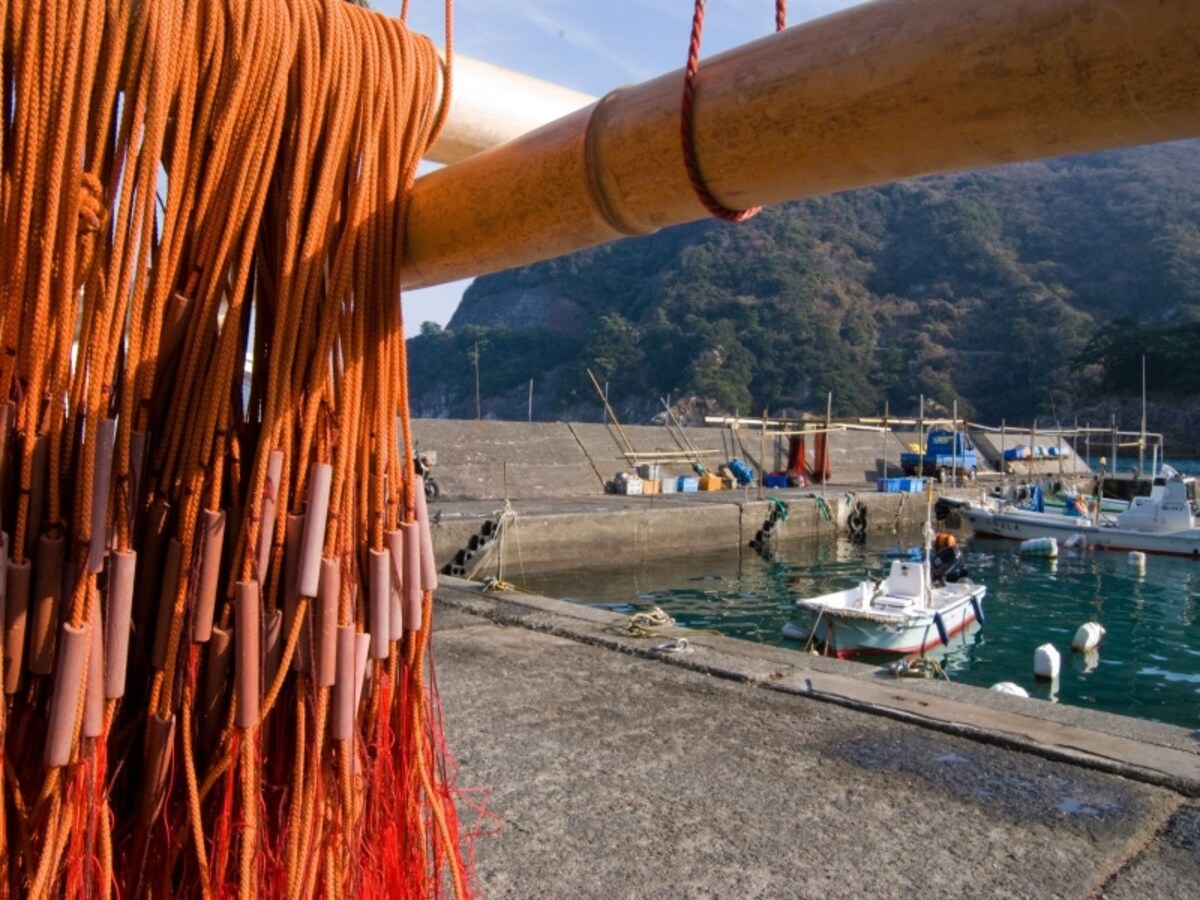 北の島には海の幸が溢れている