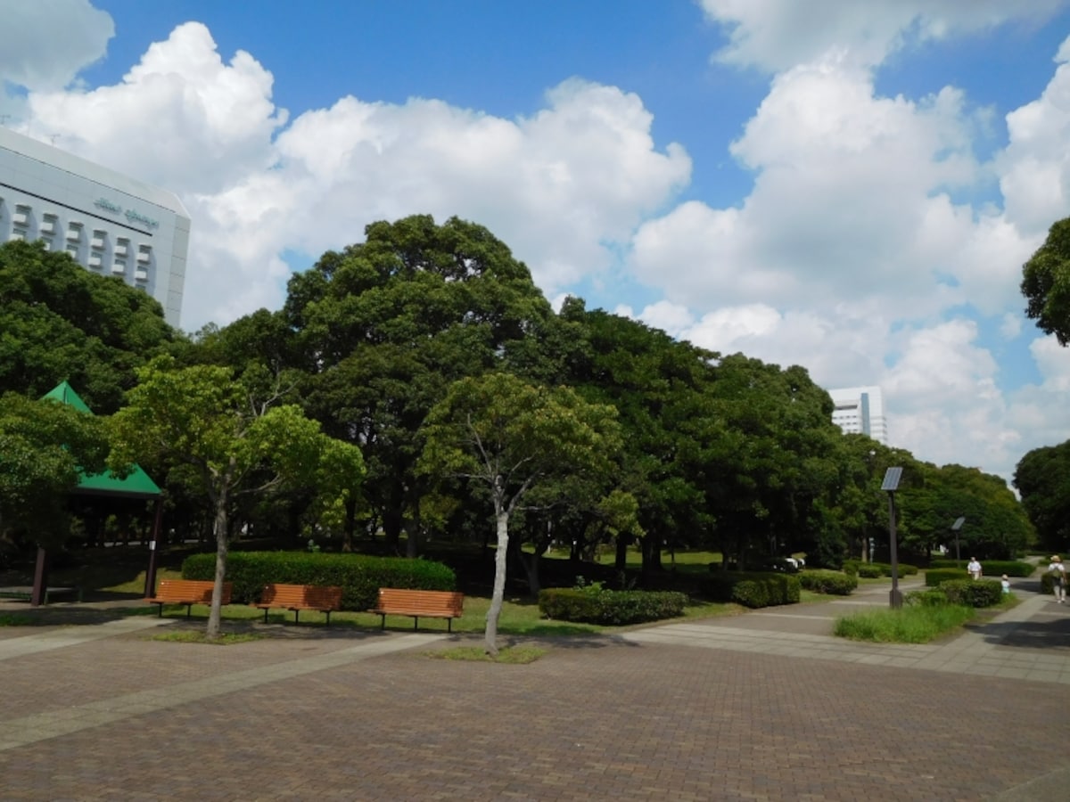 幕張新都心の公園緑地地区