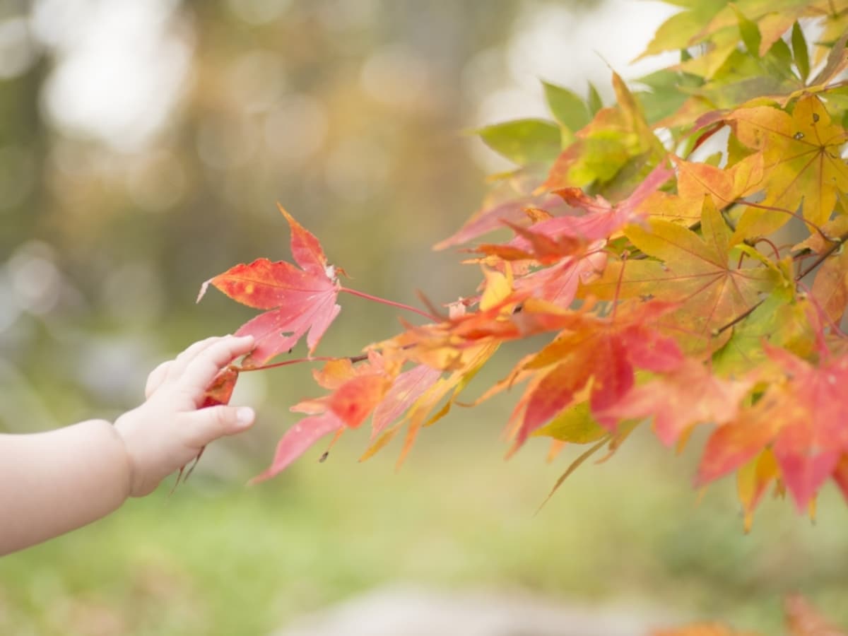 産後も過ごしやすい11月生まれ
