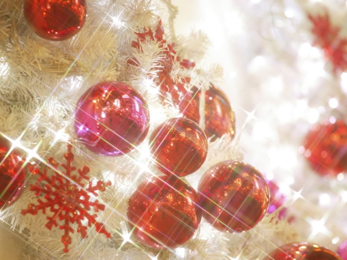 クリスマスムードで華やぐ12月生まれ