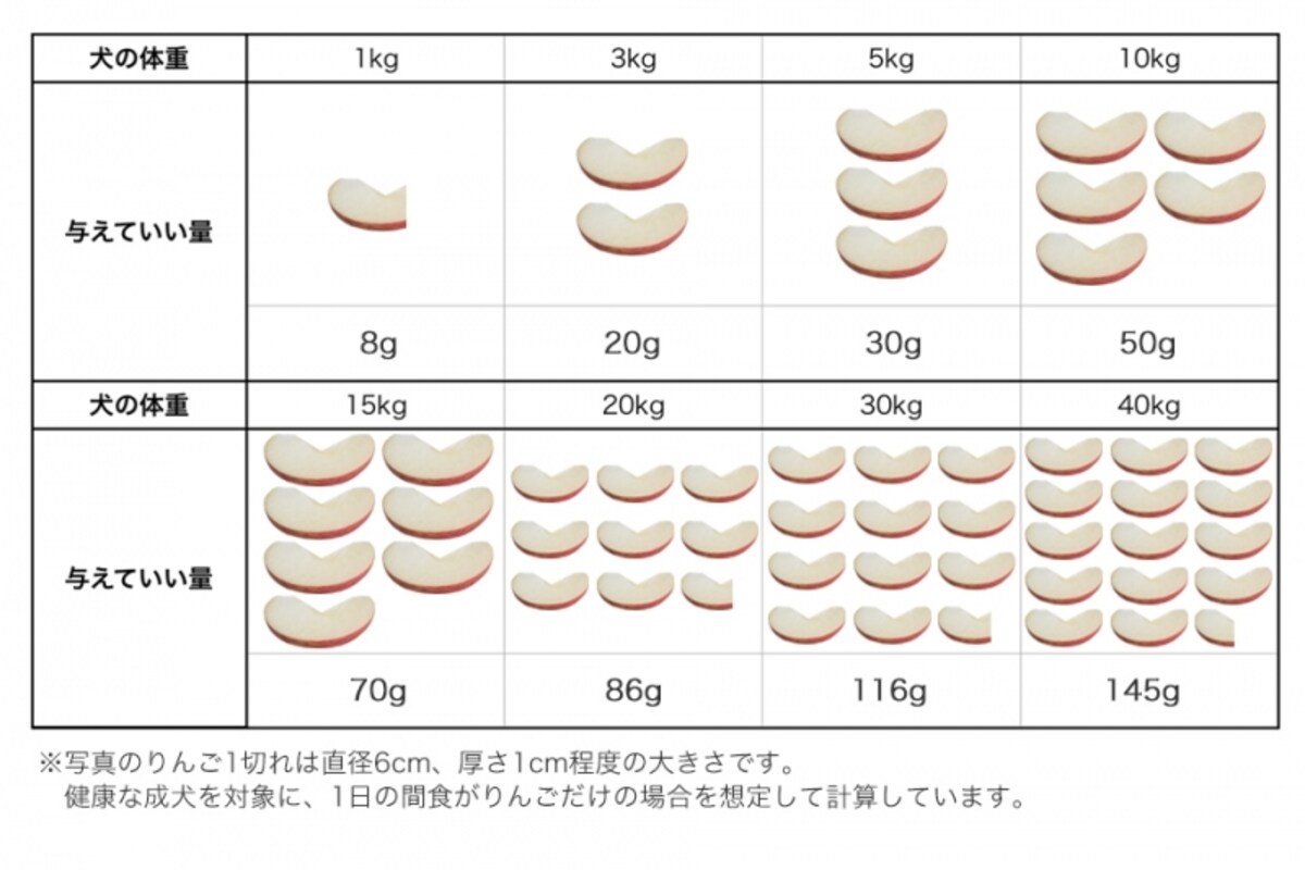 犬　りんご　食べて良い　量　病気　薬　食べ合わせ