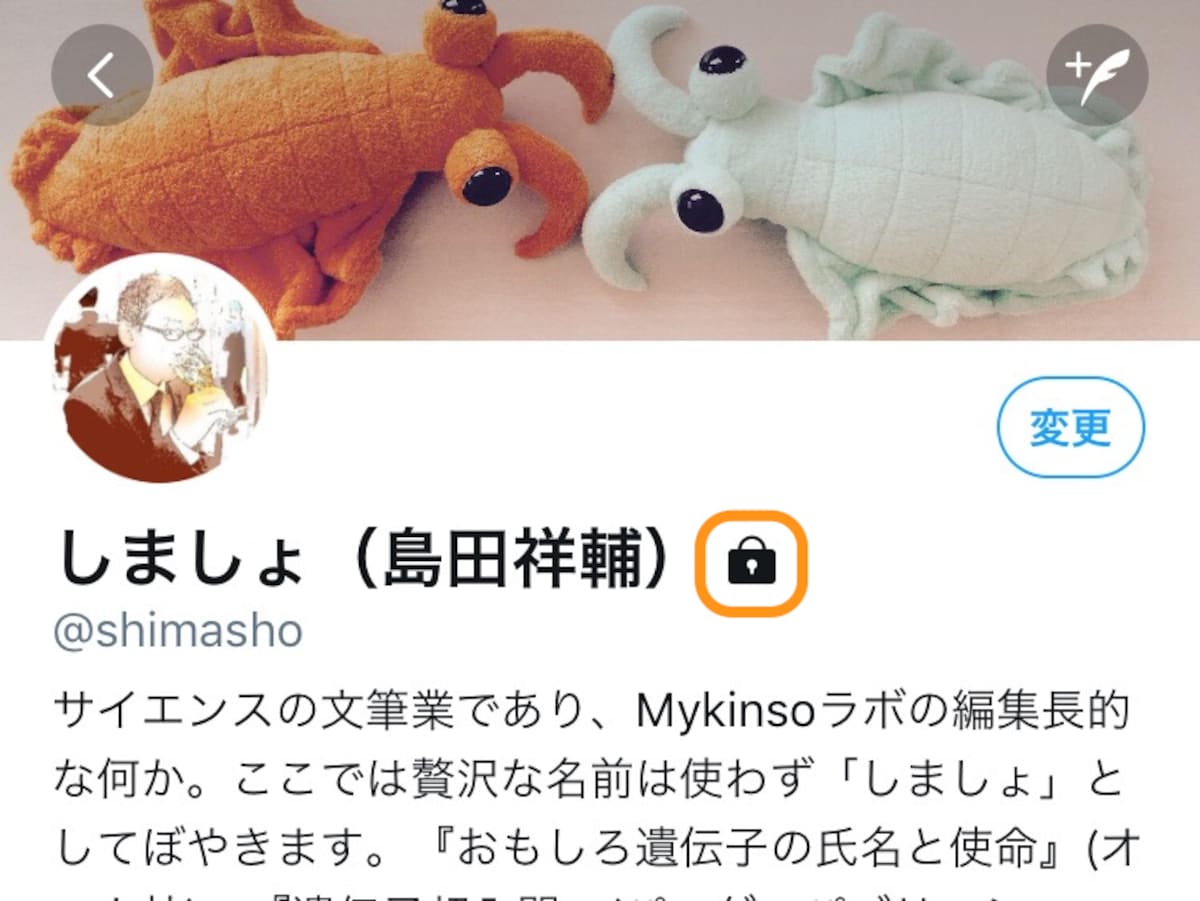 設定すると、自分のアカウントやツイートに南京錠のマークが付く